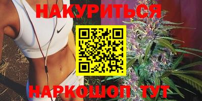 мдпв Вязьма