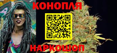 мдпв Вязьма
