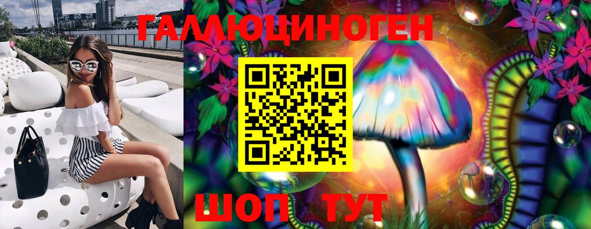 Новочебоксарск  магазин продажи наркотиков  Вход с VPN  Галлюциногенные грибы мухоморы 